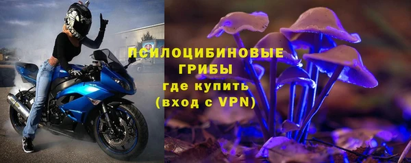 ГАЛЛЮЦИНОГЕННЫЕ ГРИБЫ Бугульма